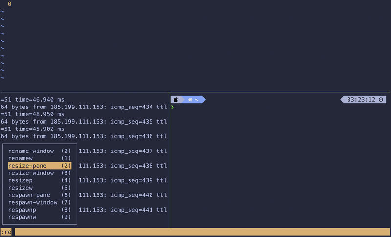 resize-pane