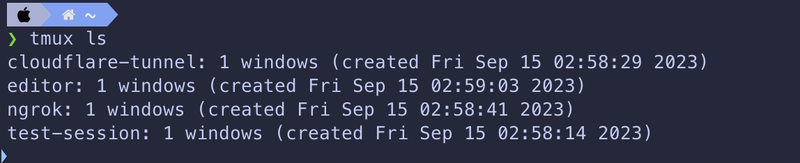 tmux ls : list session